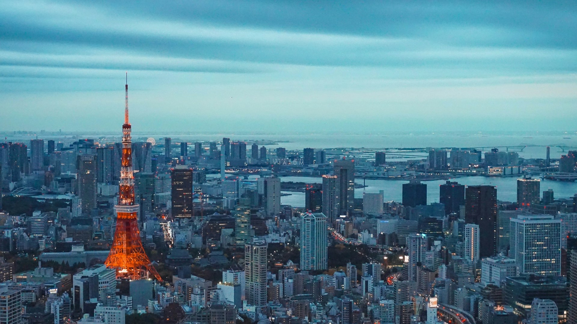Dia 11: Tokio